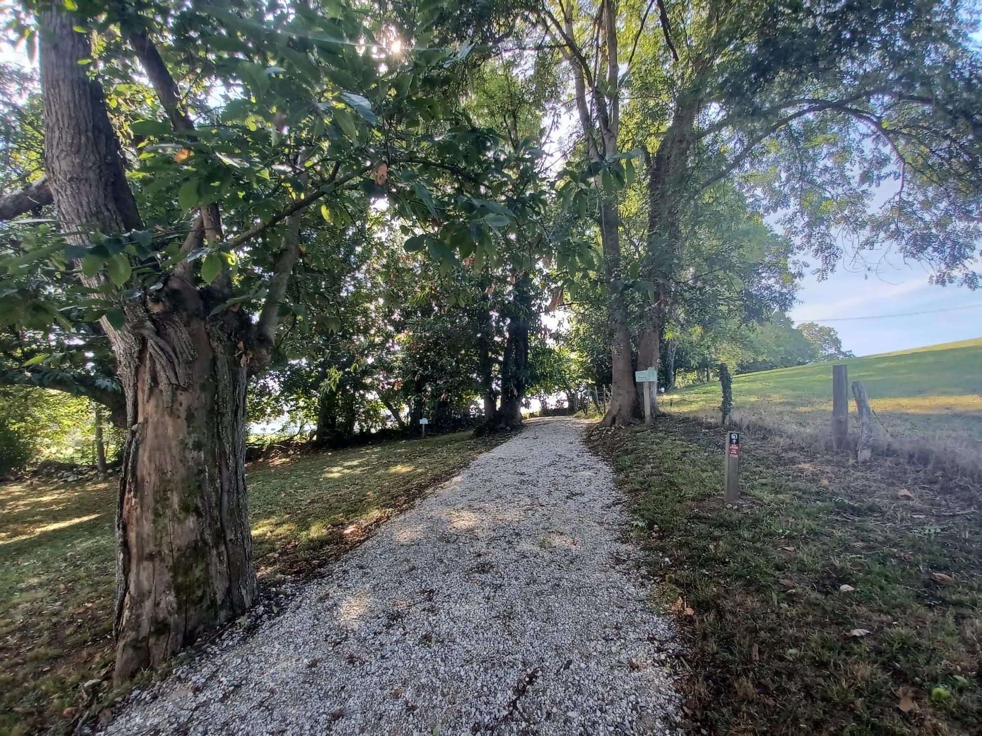 La ruta de Los Covarones, las mil y una estampas de cuento de la senda más visitada de Llanera