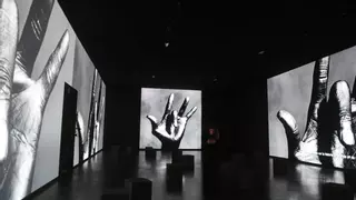 Más de 140.000 personas visitaron la muestra de Irving Penn de la Fundación Marta Ortega
