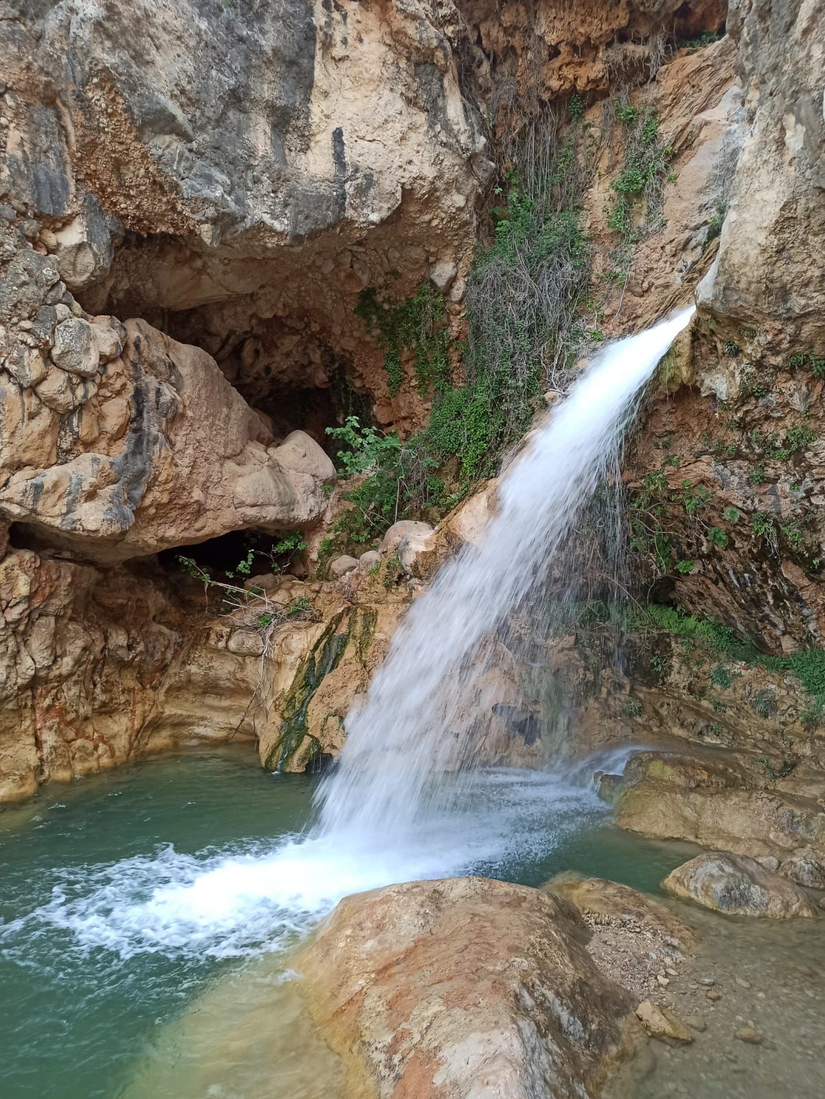 Cueva de las Palomas