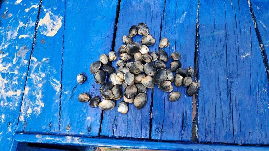 Un furtivo vuelve a las andadas en Vigo con sus capturas de almejas: ya había sido identificado cuatro veces en mayo