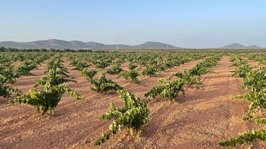 El PSOE pide explicaciones tras la solicitud de prórroga para el regadío de Tierra de Barros