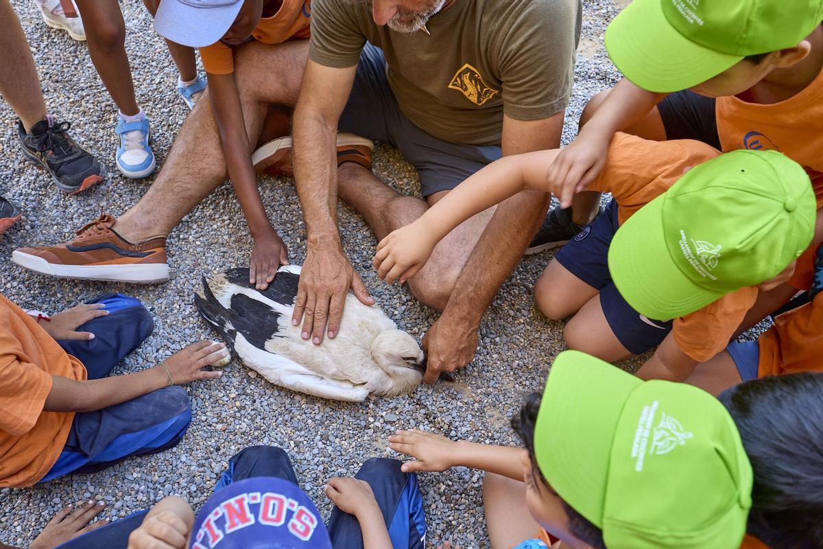 14a Jornada Escolar d’Anellament de Cigonyes
