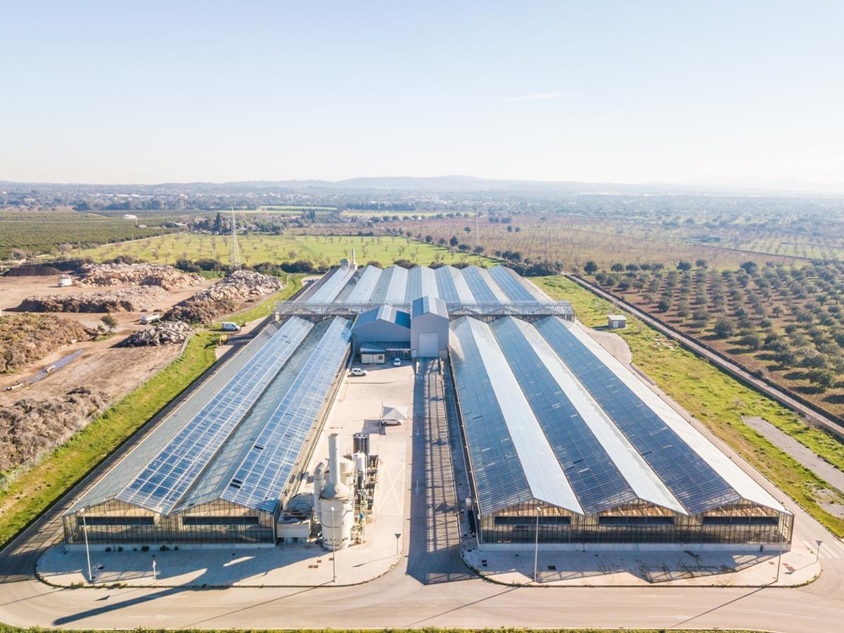 Planta d’assecat solar per al tractament de llots