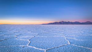 Las Plantas de Sal de Uyuni, en Bolivia.