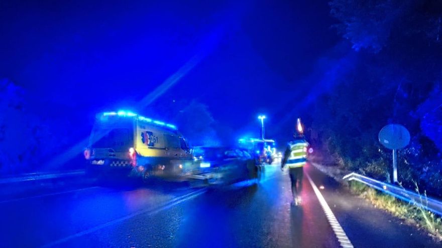 Los jabalíes provocan nuevos accidentes en la PO-548, uno de ellos con cinco heridos