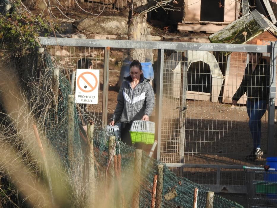 Evacuació dels animals de la protectora de Sallent per inundació