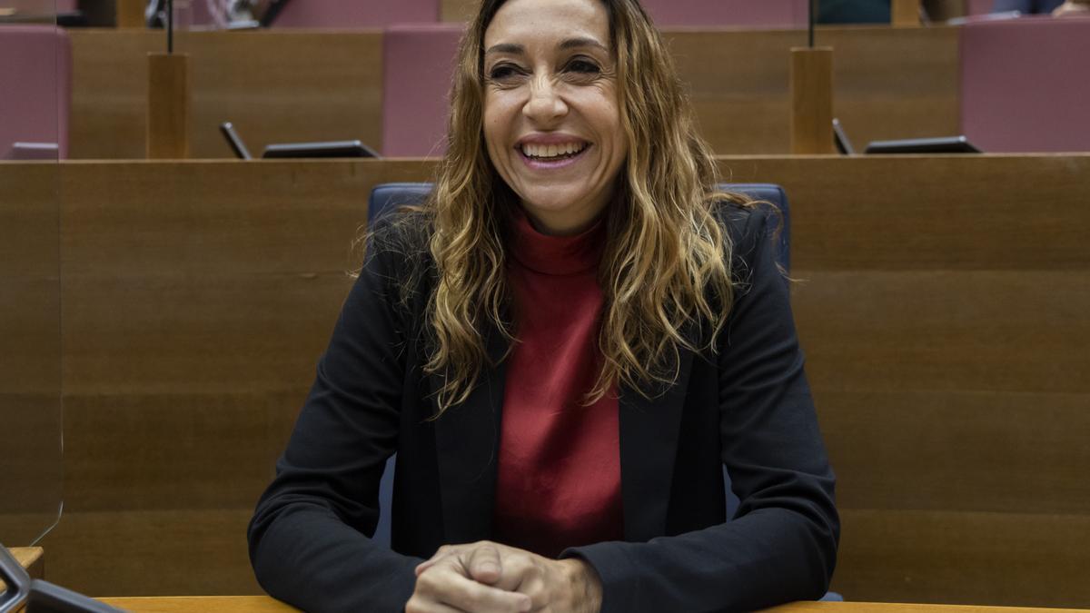 La consellera de Agricultura, Isaura Navarro, en las Corts.