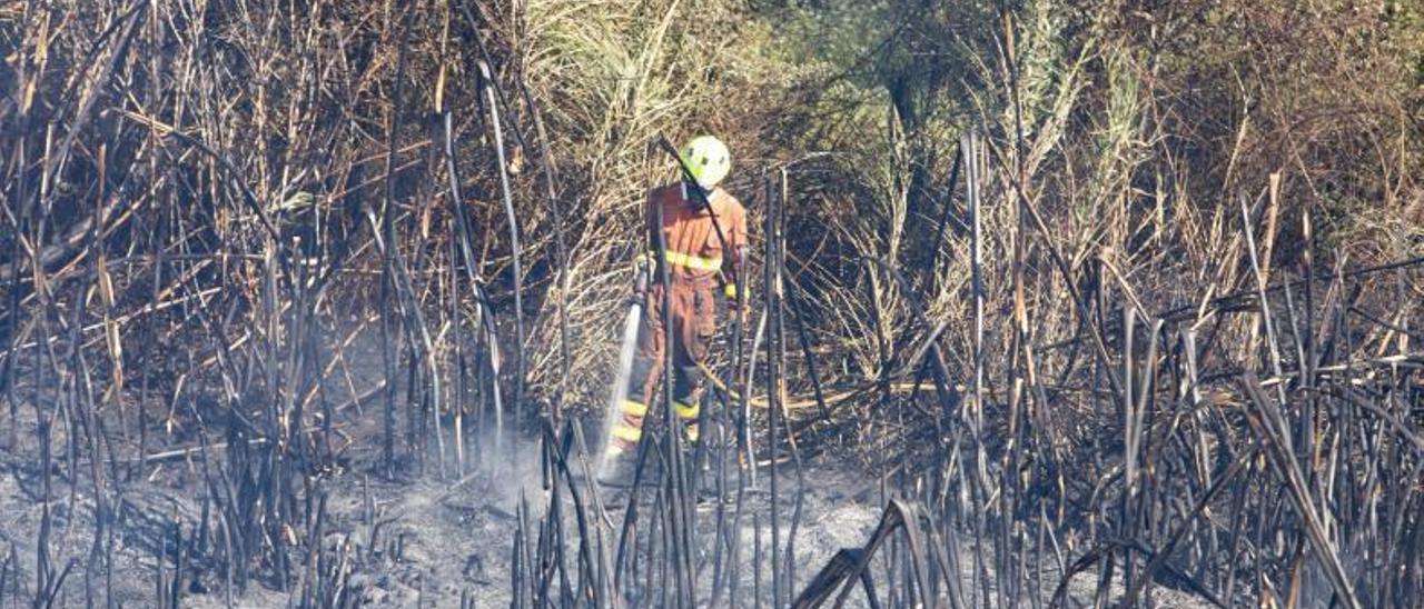 Uno de los efectivos actúa en una zona quemada. | PERALES IBORRA