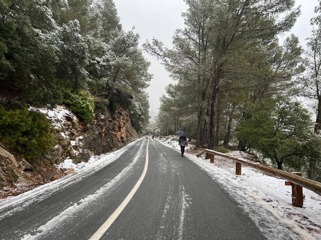 Mallorca registra la mayor nevada en cinco años