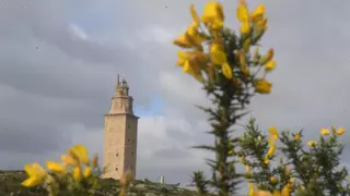 Sobre o ENIL da Torre de Hércules