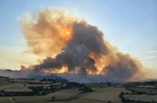 Un incendi a la Segarra dona  el primer ensurt de la temporada