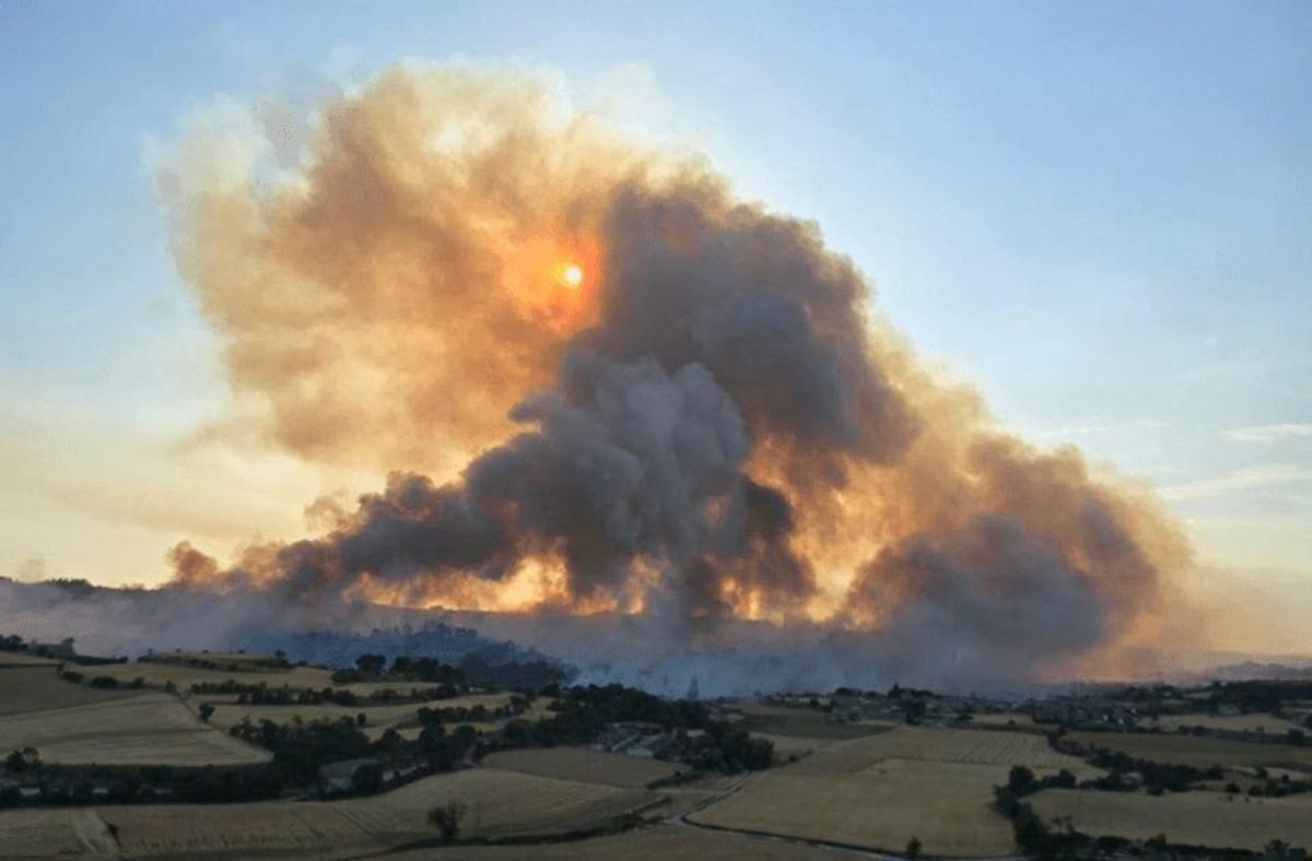 Un incendi a la Segarra dona  el primer ensurt de la temporada