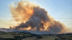 Un incendi a la Segarra dona  el primer ensurt de la temporada