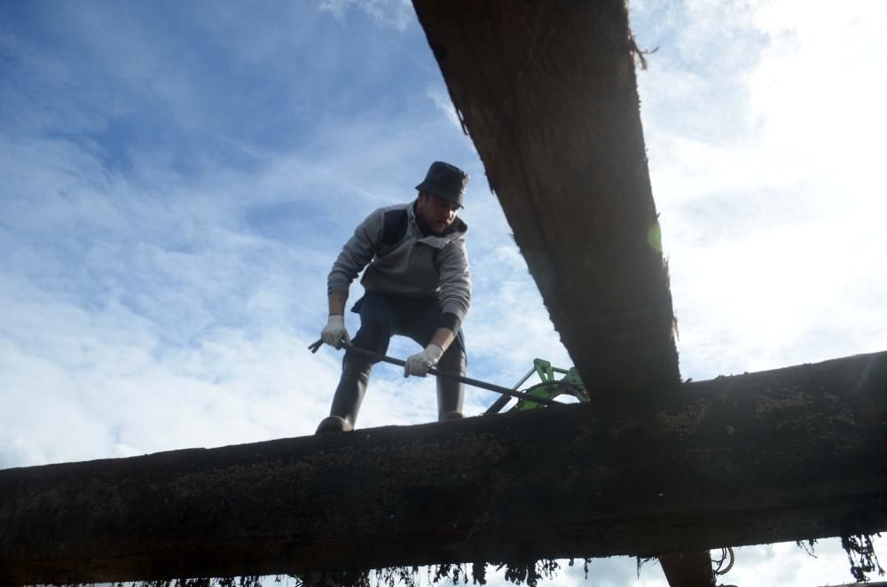 La construcción de bateas llega a Vilagarcía.