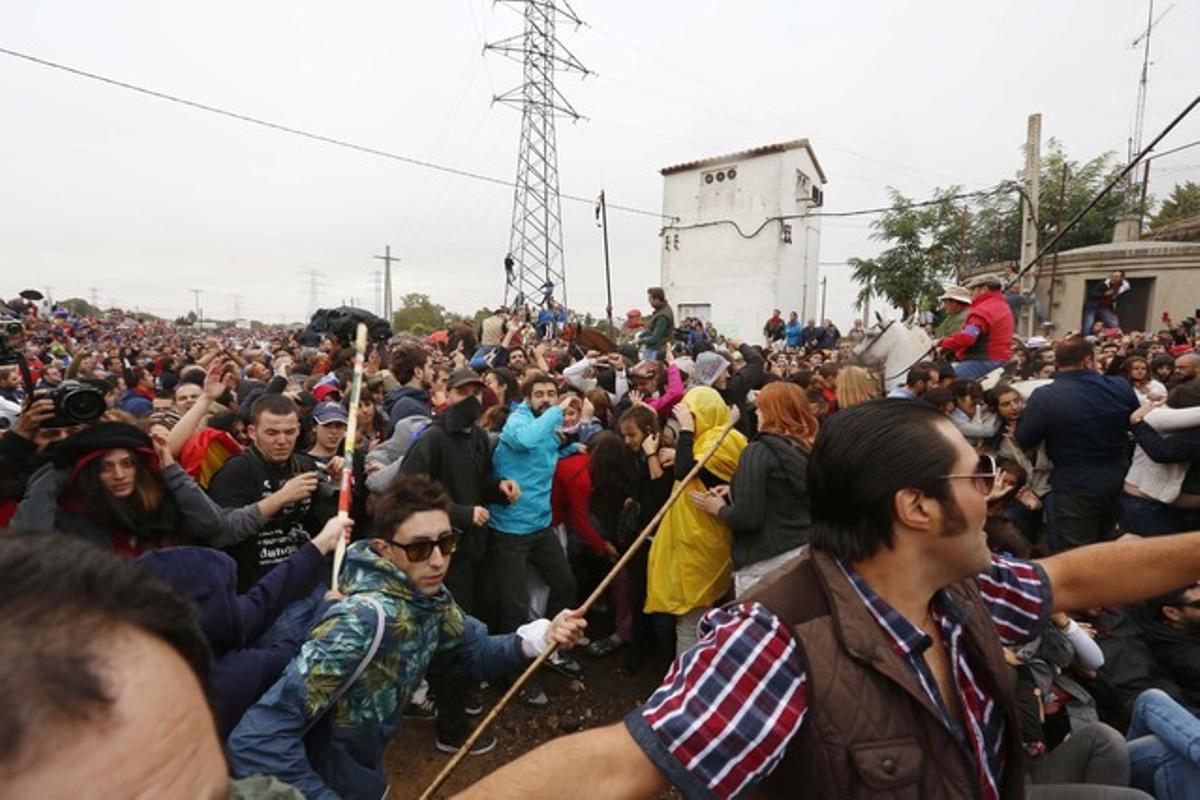 Anti-taurinos y defensores del toro de la Vega se enfrentan justo antes de la suelta del toro Rompesuelas.