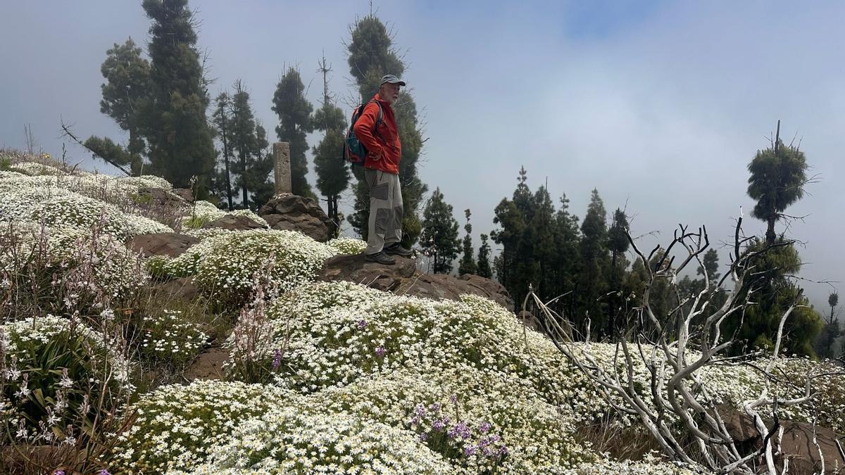 Ruta por la cumbre de Gran Canaria en mayo de 2026.