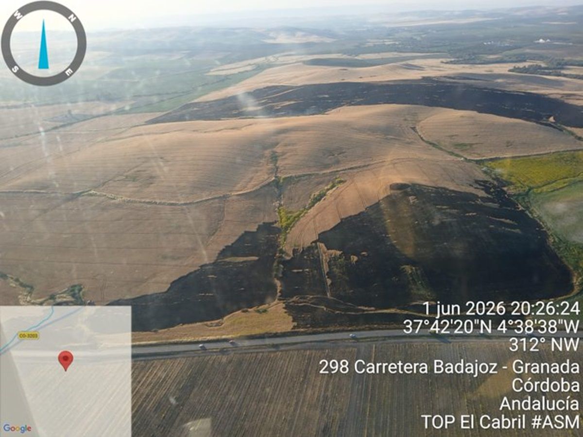 Área afectada por el incendio declarado esta tarde en el término municipal de Fernán Núñez, en una imagen aérea del plan Infoca.