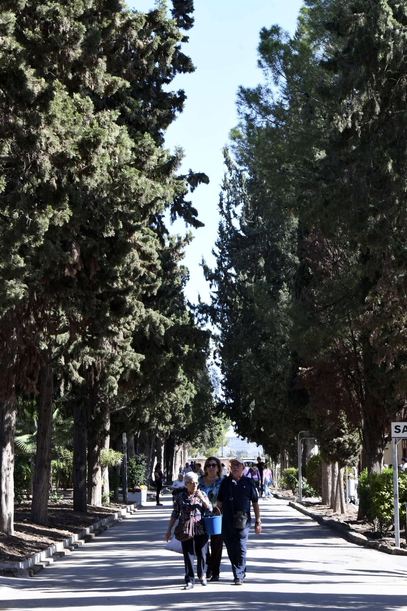 Cementerios de Murcia en el Día de Todos los Santos.