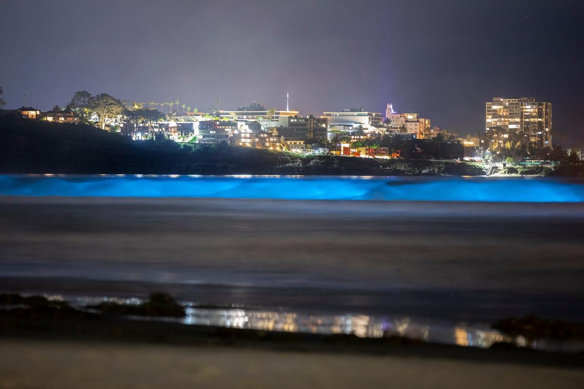 Olas bioluminiscentes en la Jolla Shores, San Diego