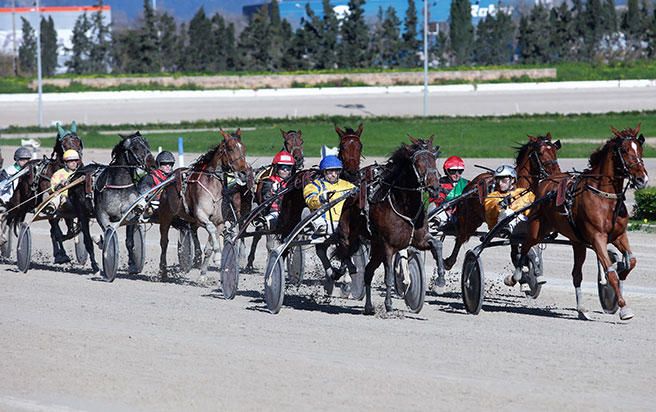 Boira de Llevant gana el 'Gran Premi dels 5 Anys'