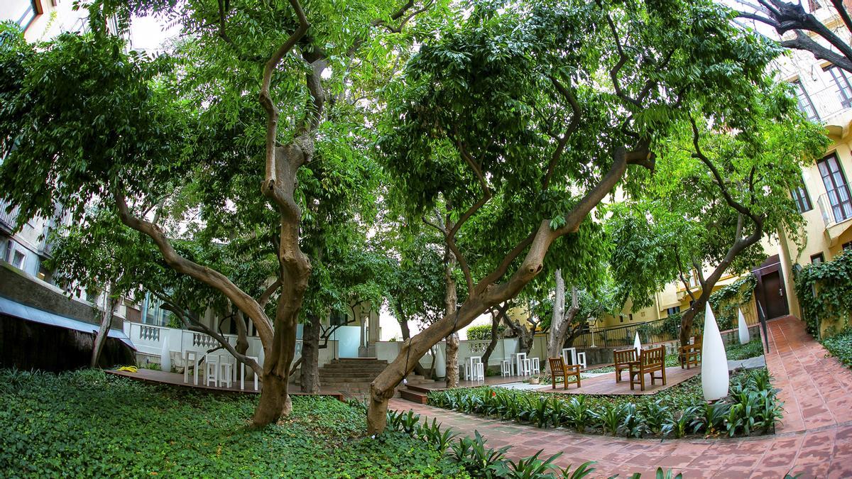 Un paraíso escondido: los Jardines de la Casa Ignacio Puig.