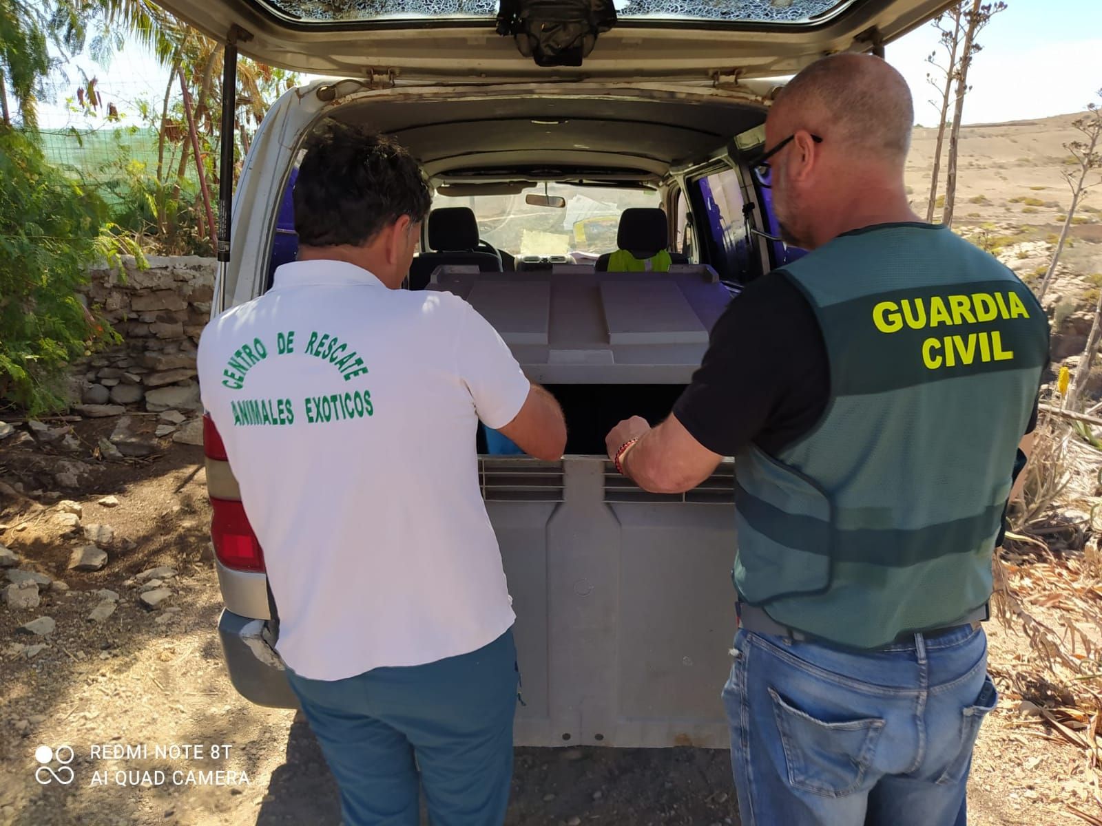 Incautan 439 especies en una finca de Gran Canaria