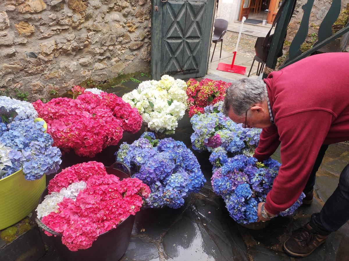 En imágenes: Castropol se llena de flores para el Corpus