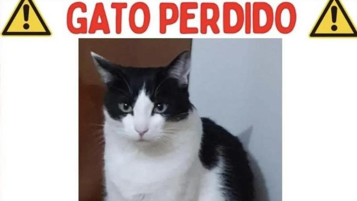El cartel informativo colgado por la familia.