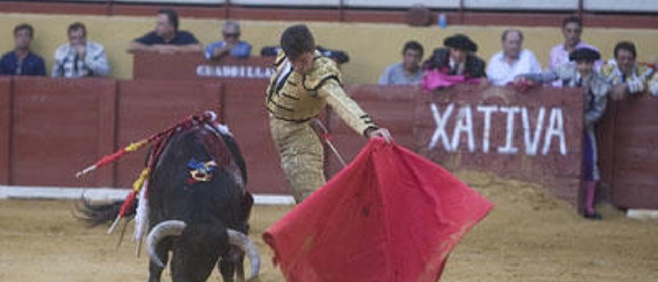 Una plataforma en favor de los toros propone contrarrestar a los antitaurinos