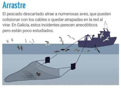 Las explicaciones de SEO/BirdLife sobre las artes de arrastre.