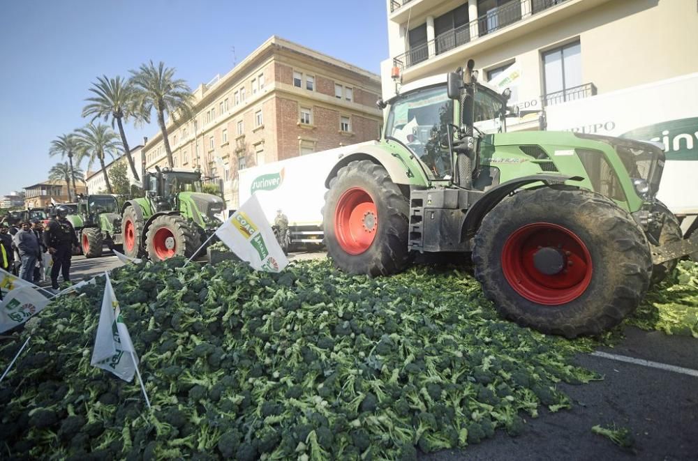 Así ha sido la manifestación de los agricultores en Murcia (II)