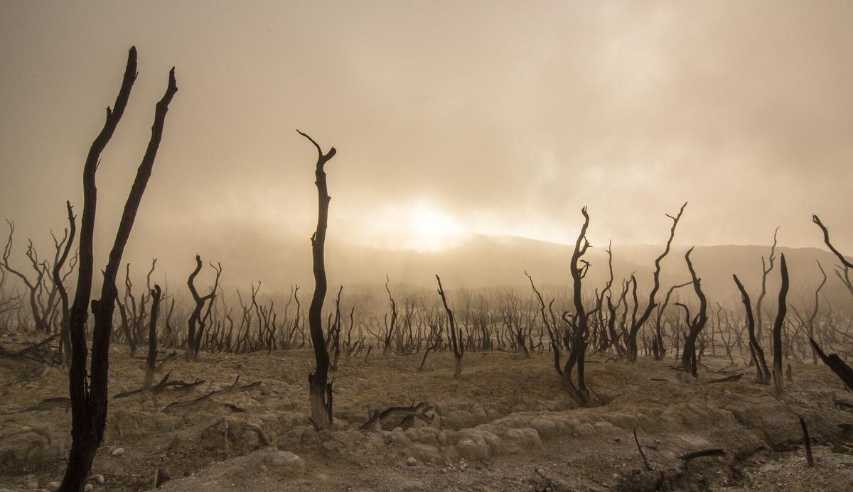 Salud y cambio global (2): Cuánto y dónde nos están matando las temperaturas extremas