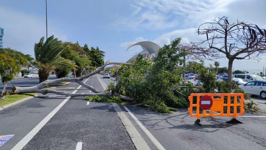 Incidencias por el temporal de viento en Tenerife