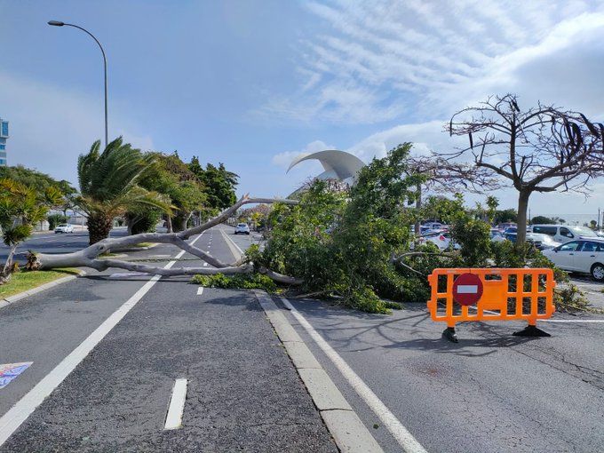 Incidencias por el temporal de viento en Tenerif