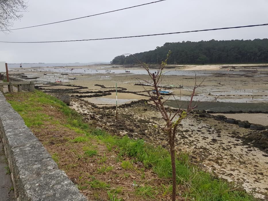 "Mareas vivas" en Galicia.