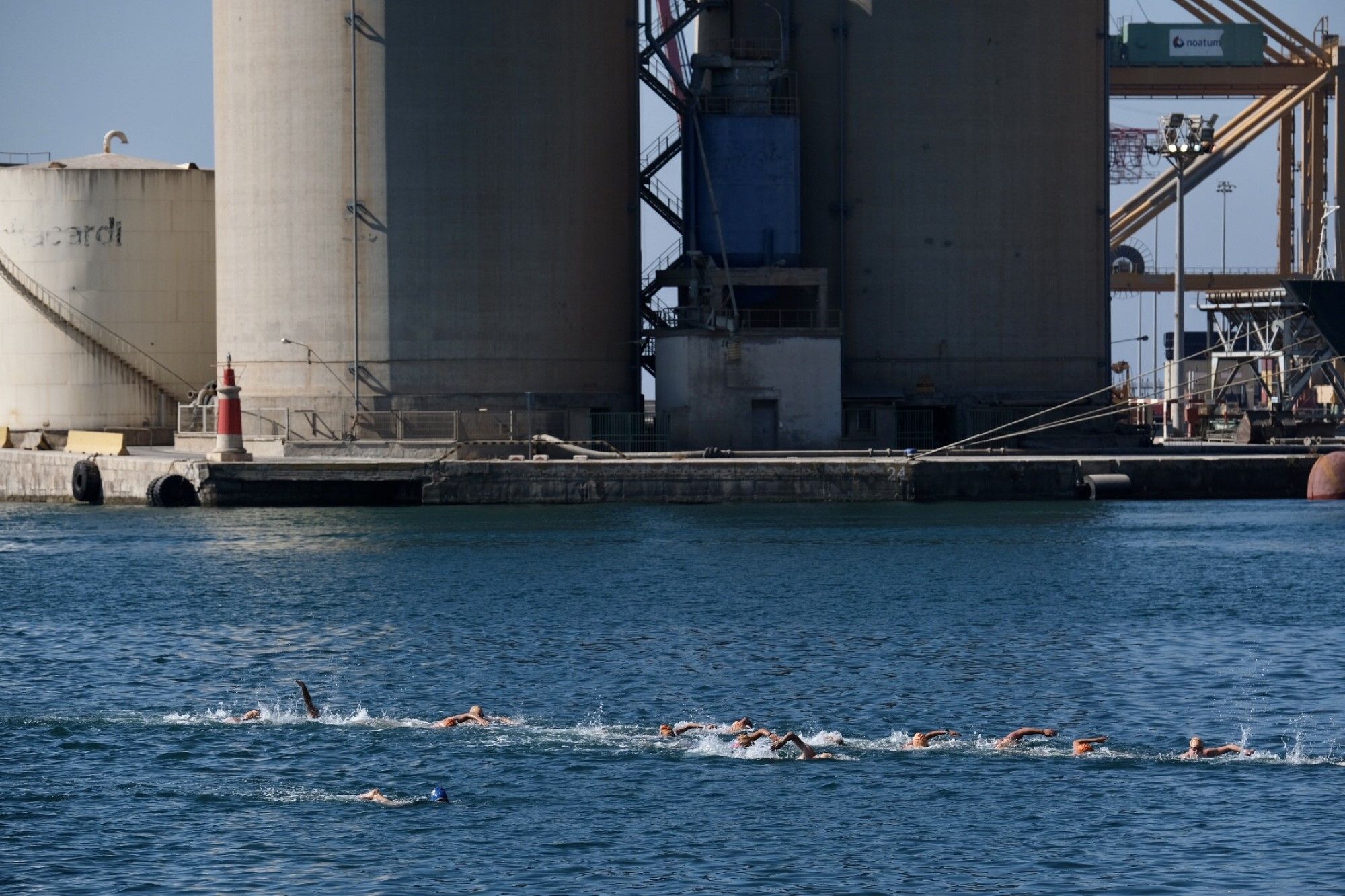 El alcalde De la Torre vuelve a participar en la travesía a nado del Puerto de Málaga