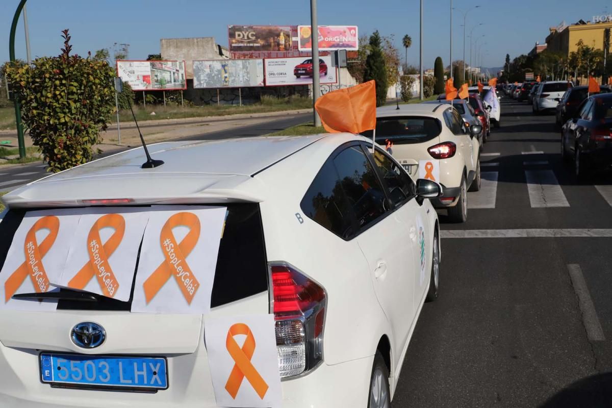 Caravana contra la 'ley Celaá'