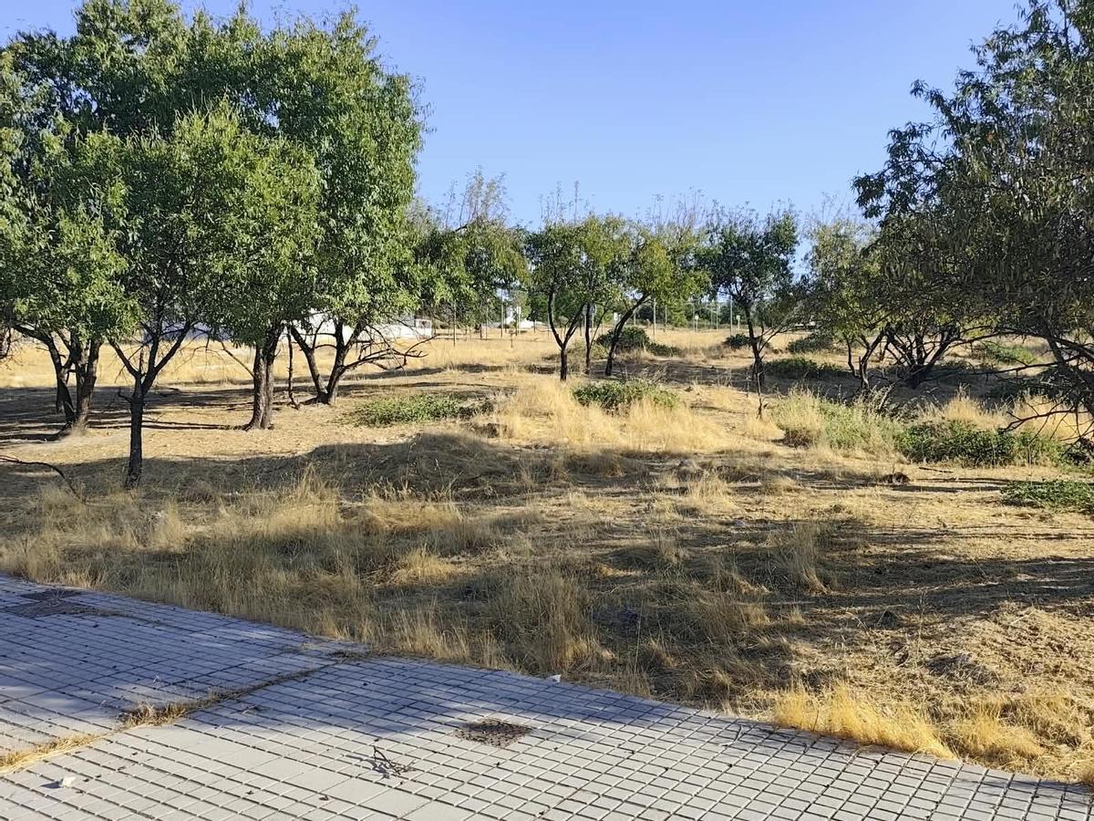 Terrenos del del Plan Parcial Sur-2 en Lucena, aún sin recepcionar, entre otras cosas, por la falta de suministro eléctrico.