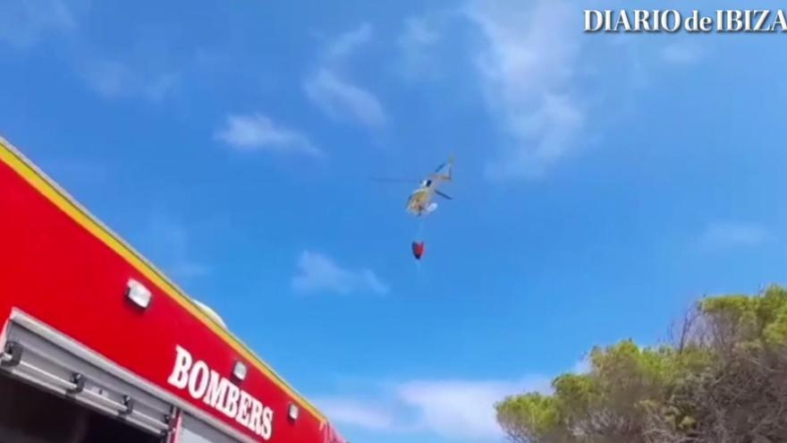 VÍDEO: Incendio en el Parque Natural de Formentera