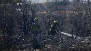 Directo | El incendio de las Cinco Villas frena su avance y el Gobierno de Aragón rebaja la superficie afectada a 15.000 hectáreas
