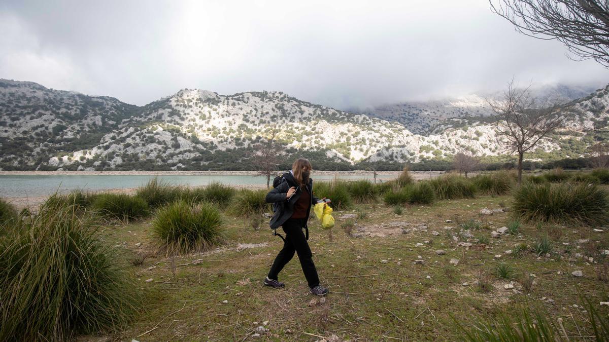 ‘Basuraleza’ en Cúber: plásticos, colillas y pilas