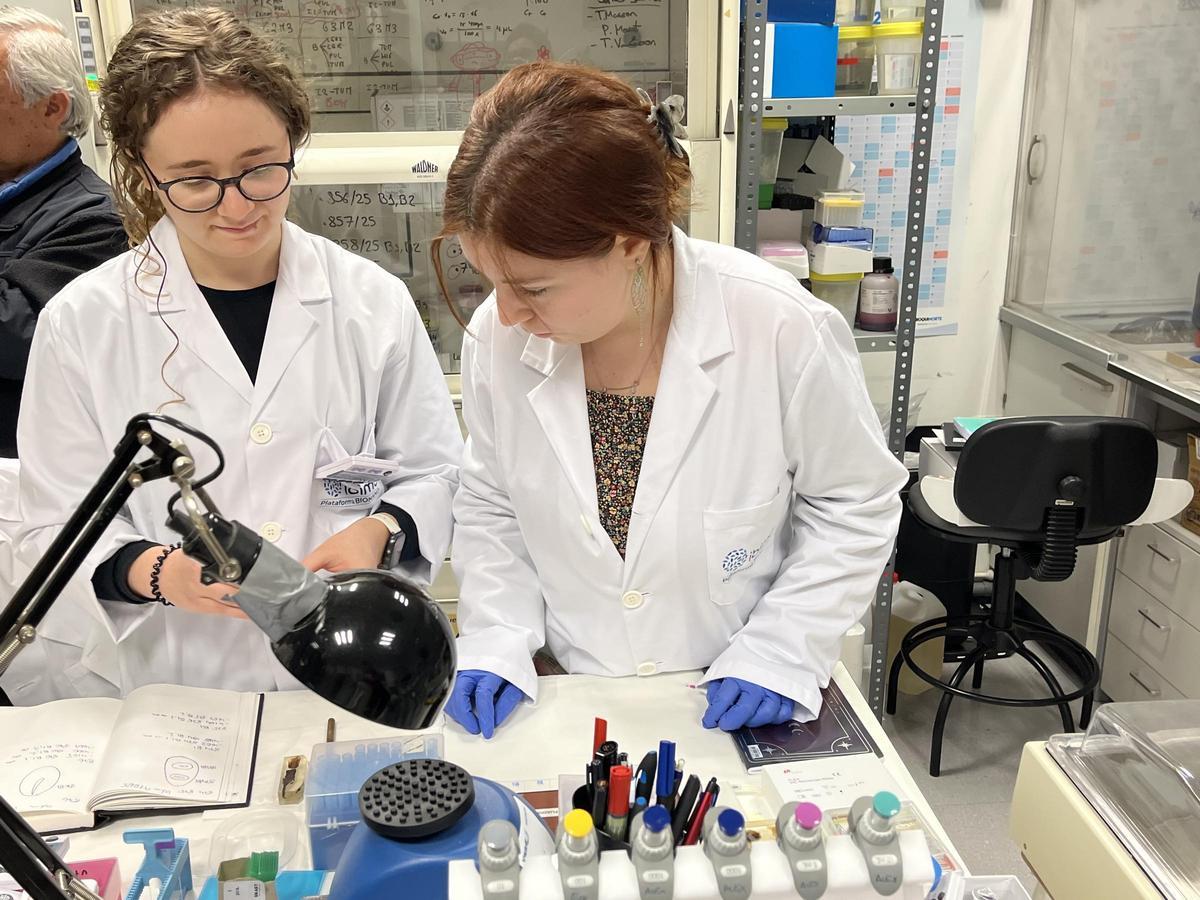 Invetsigaodras de Ibima en uno de sus laboratorios.
