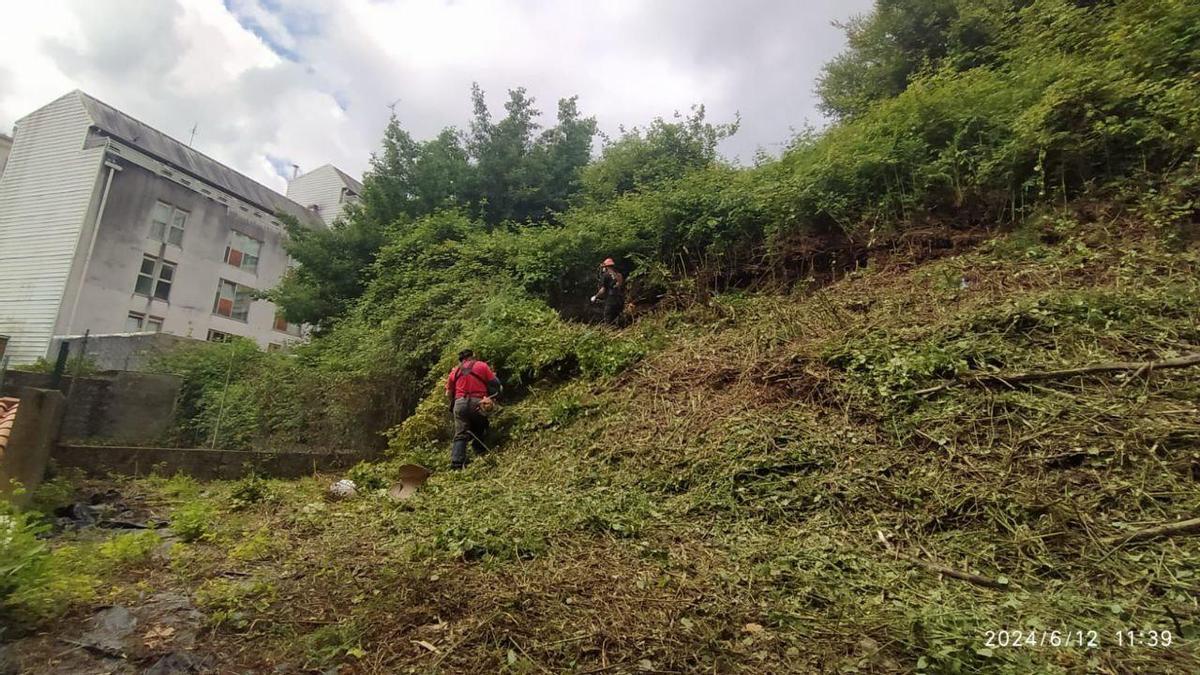 Fotografía facilitada por el Concello con los trabajos de desbroce en la parcela en 2024.