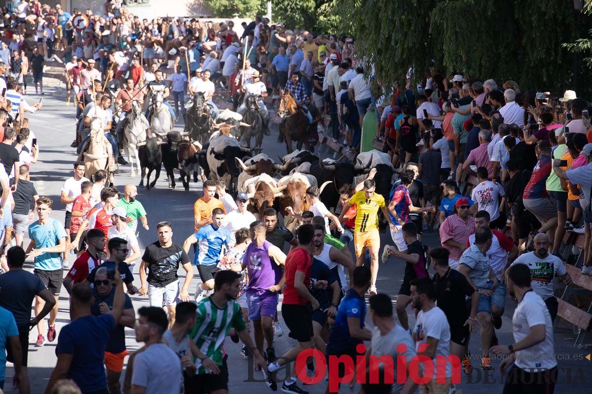 Último encierro en las Fiestas de Moratalla