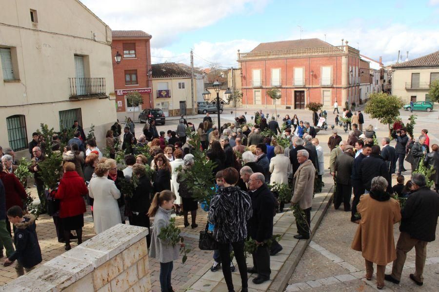 Procesión de Santa María en Fuentesaúco