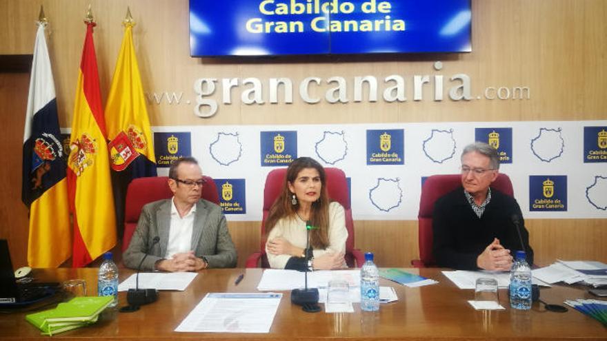 Presentación de las IV Jornadas del Paisaje por la consejera de Política Territorial del Cabildo, Inés Miranda.
