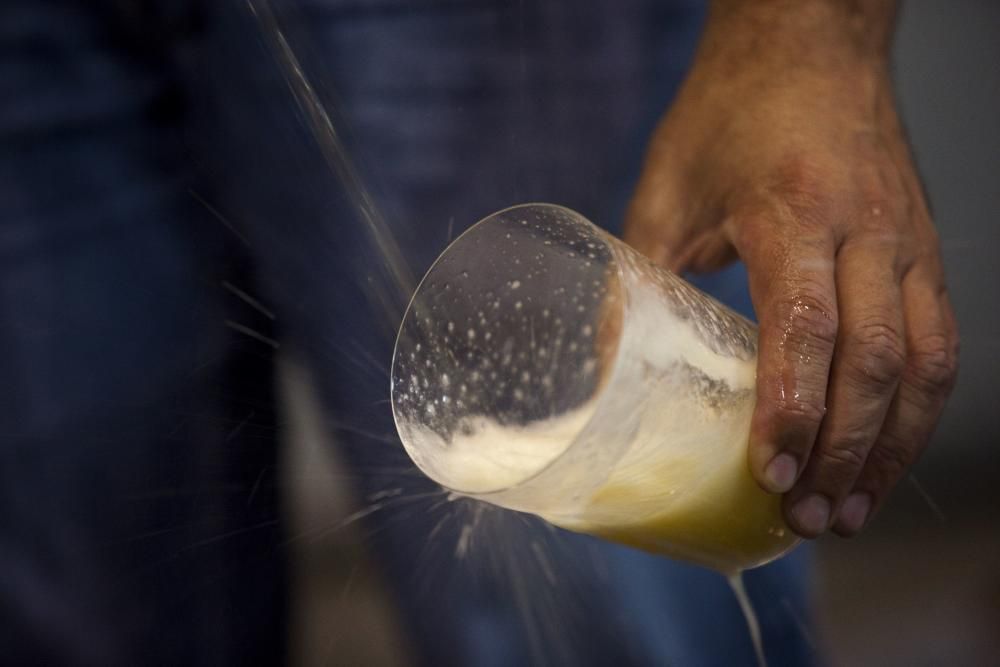 La mejor sidra de Asturias 2016 del Festival de Nava. Llagar Piñera, Deva