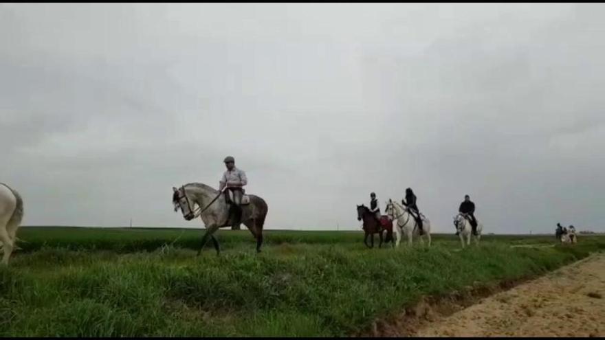 Romería flamenca entre Arcenillas y Casaseca