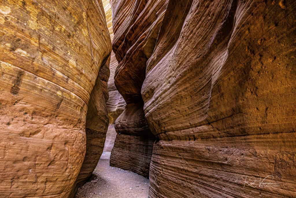 Las laberínticas paredes
