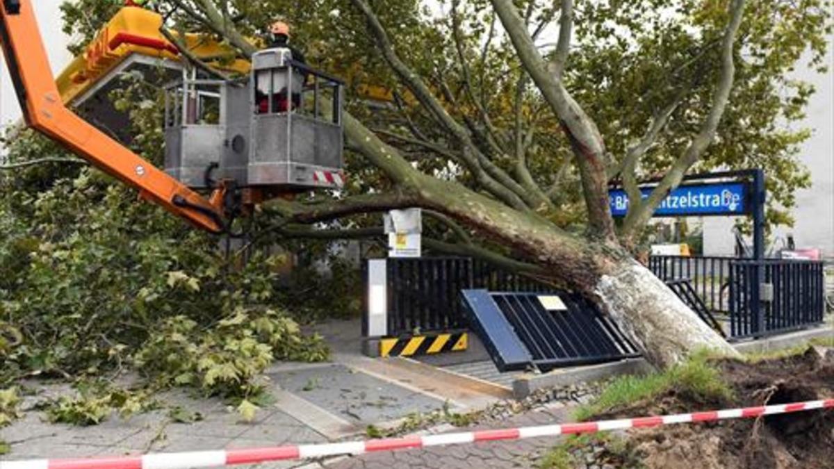 Árbol caído sobre una boca de metro en Berlín.